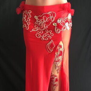 New Professional Belly Dance Costume